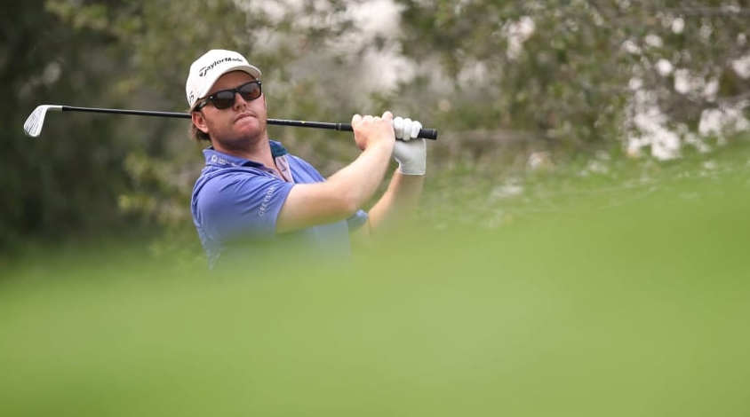 SafeW支持标签分类功能吗？