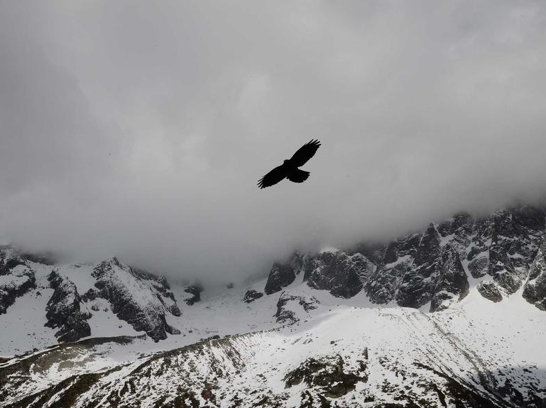 SafeW支持话题功能吗？